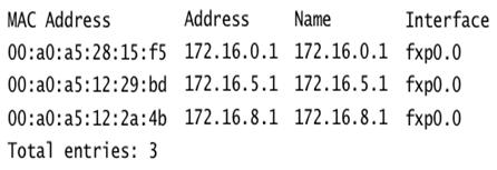 show arp command