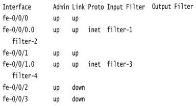 show interfaces filters <filter-name>' command