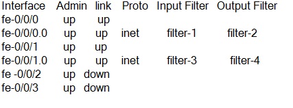 show interface's filters command